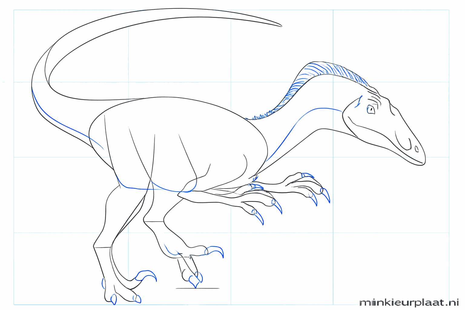 Draw sharp claws on the feet and add details to the skin.