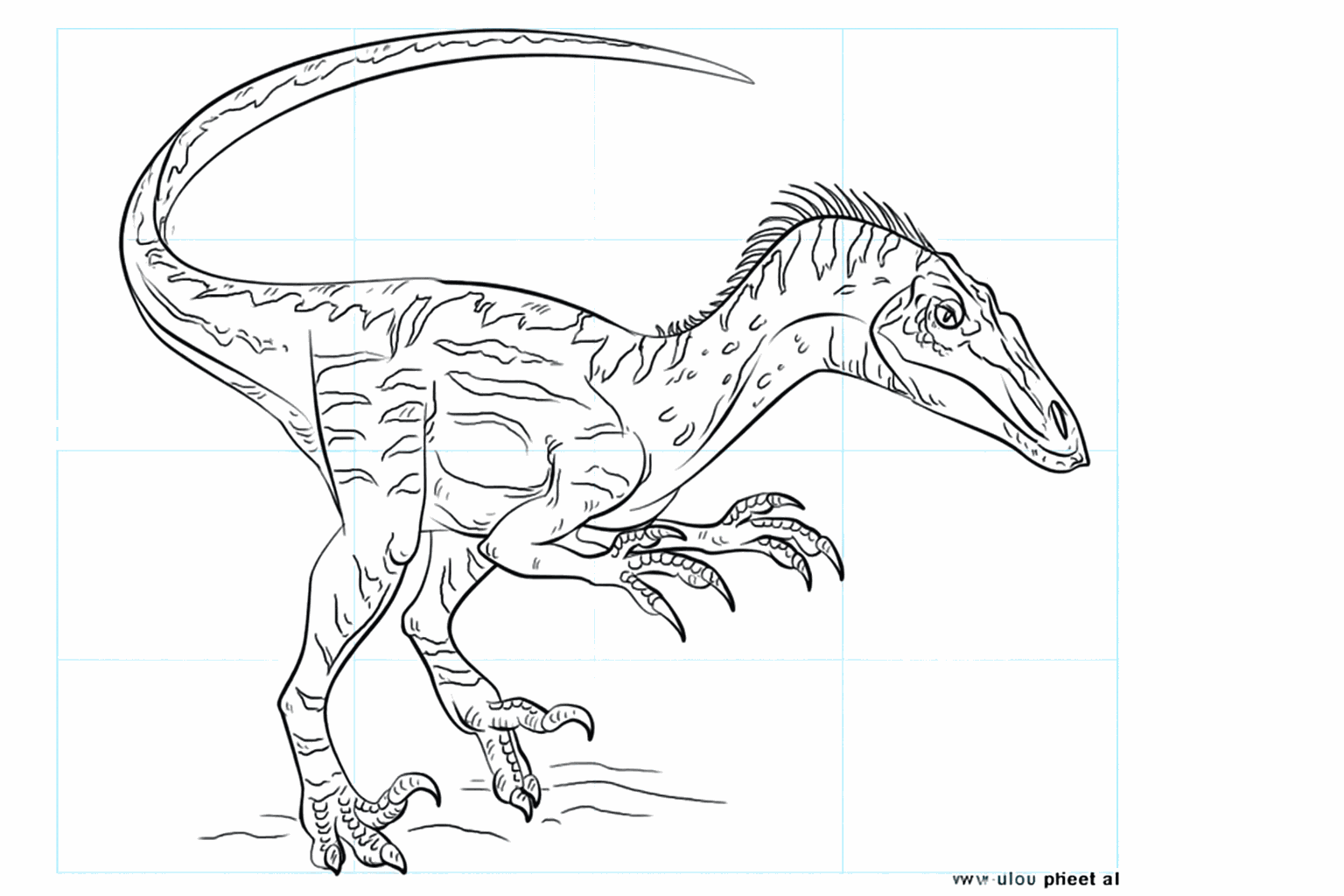 Drawing a cool Velociraptor