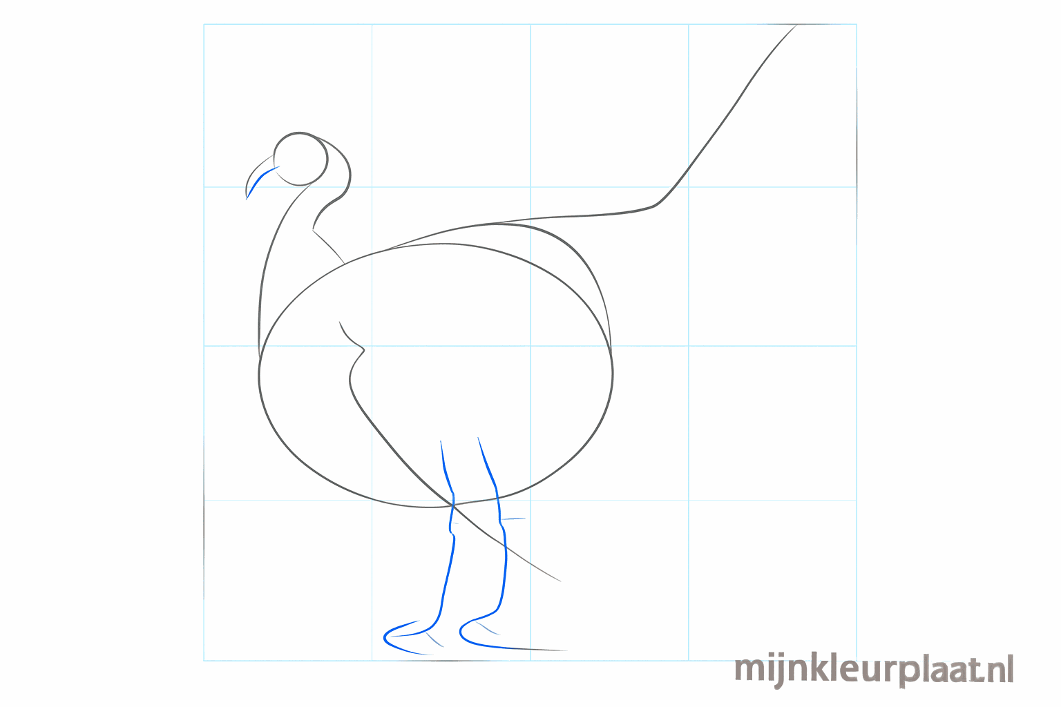 Guide lines for the large tail fan and the wing of the turkey.