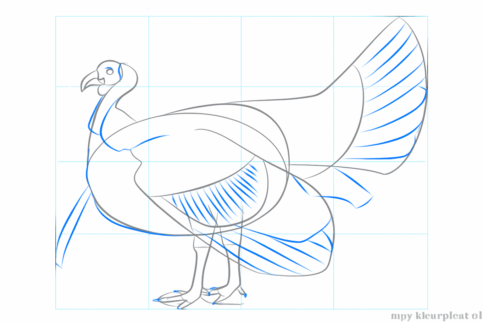 Details such as the eye, the toes, and the snood of the turkey.