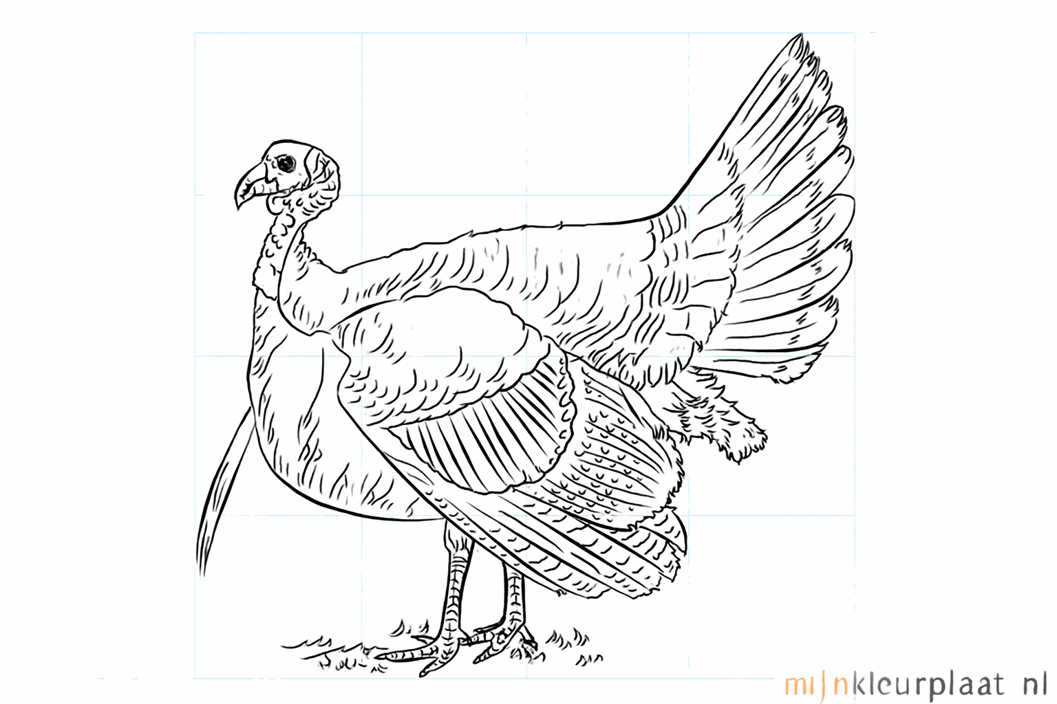 Drawing a cheerful turkey step-by-step