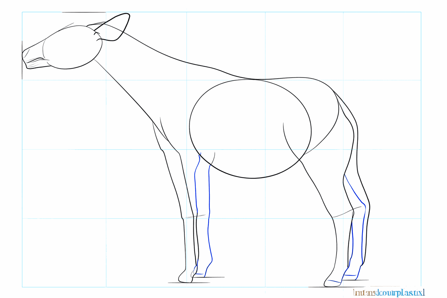Draw the thickness of the legs and the large ears on the head.