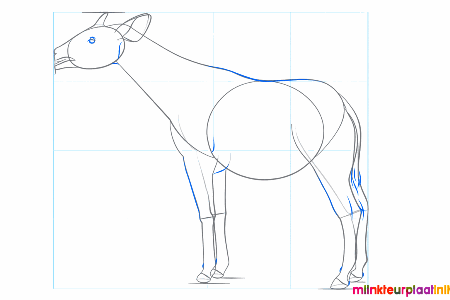 Adding details such as the eye, nose, and the fluffy tail.