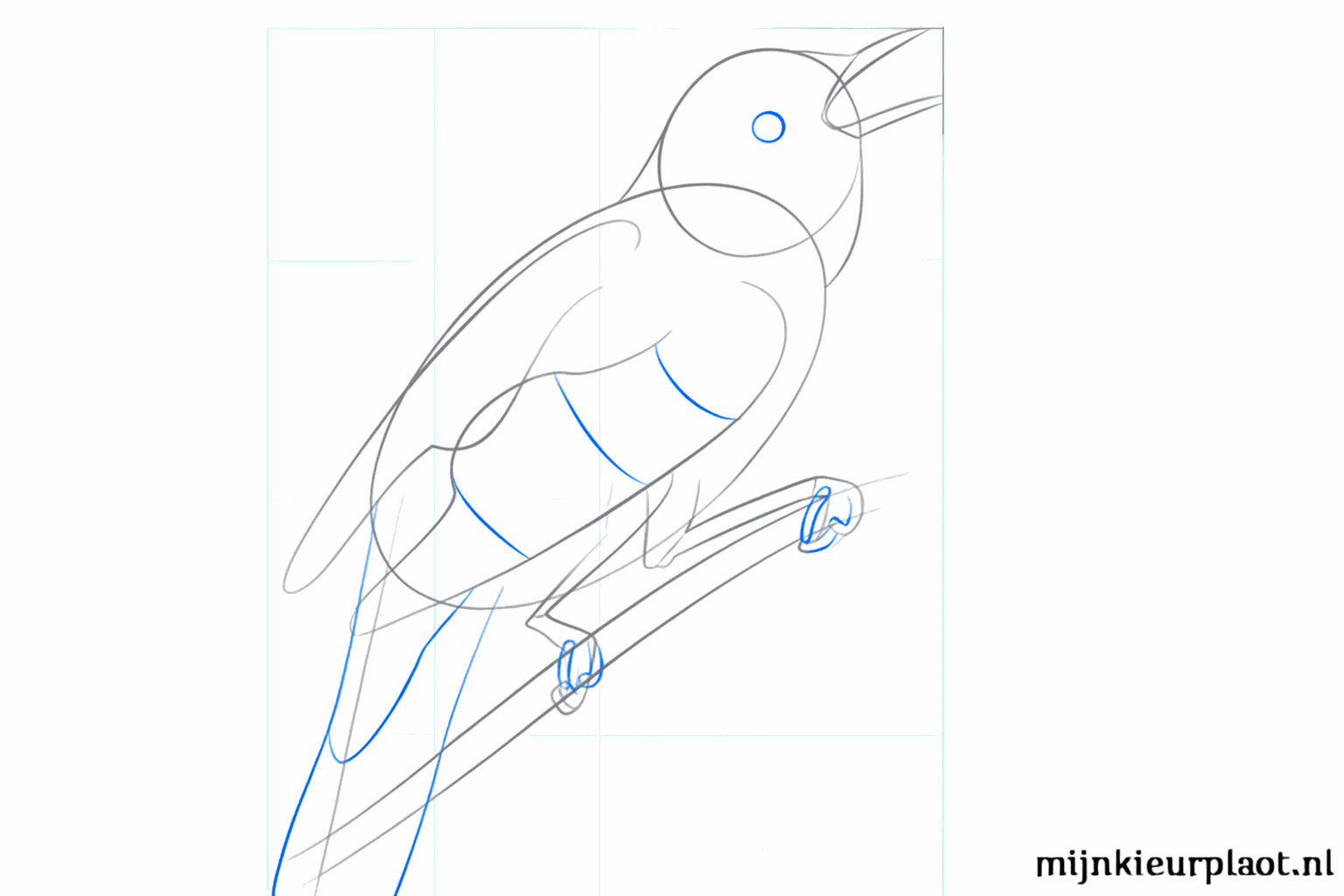 Step-by-step drawing step 5: Further developing the eye, tail, and wings.