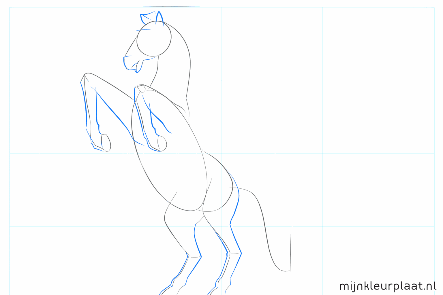 Shapes of the legs, snout, and ears of the mustang become visible.