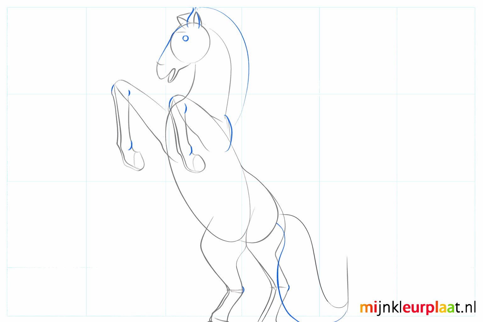 Details of the hooves and a thicker tail for the wild horse.