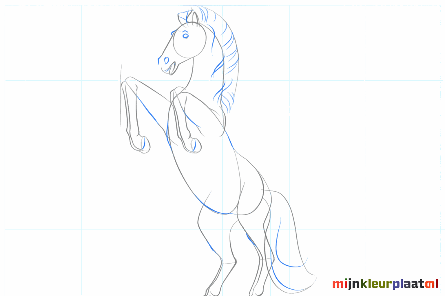 The horse's face with an eye, nostril, and flowing mane.