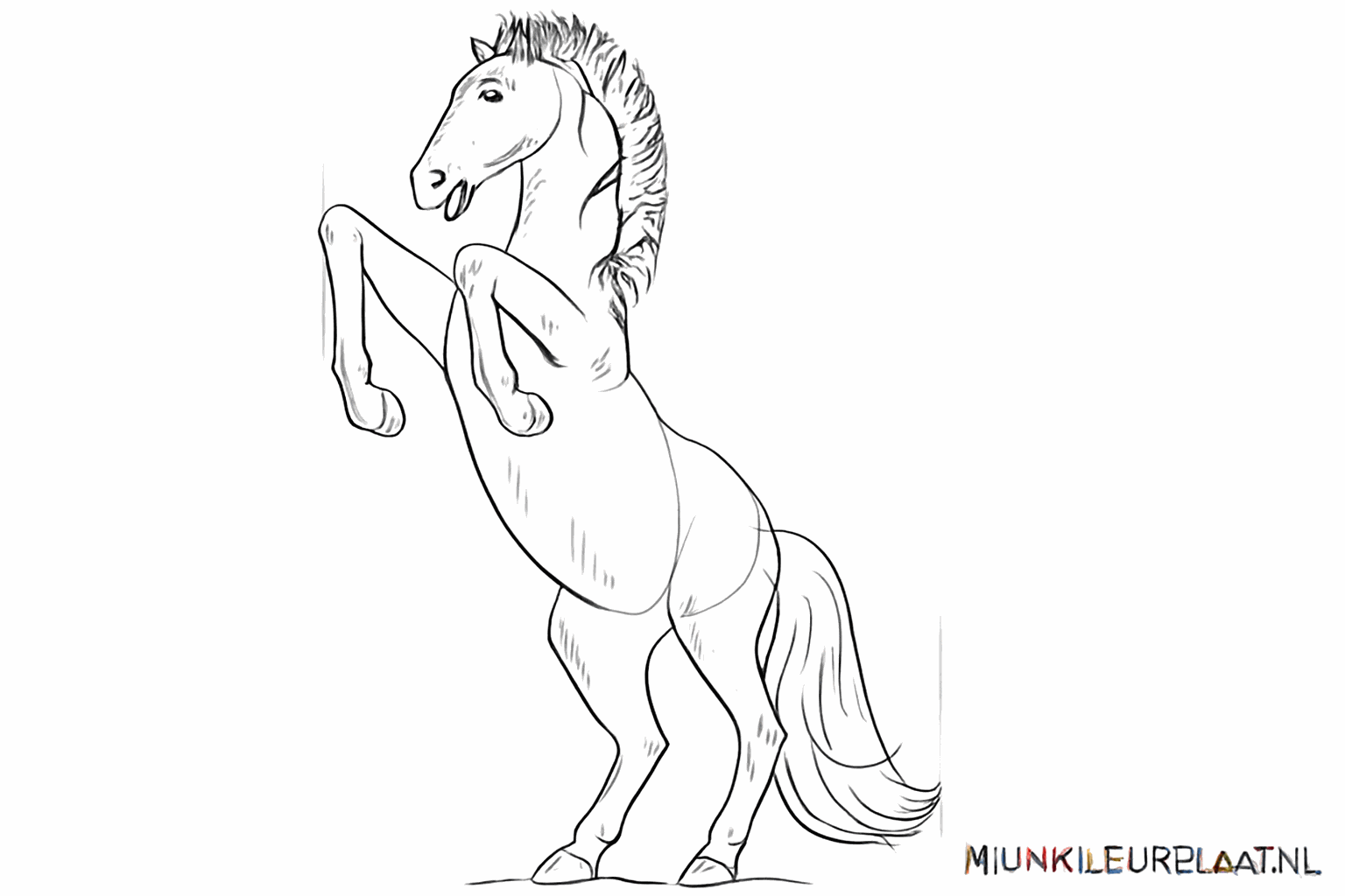 Extra lines accentuating the mustang's muscles and joints.