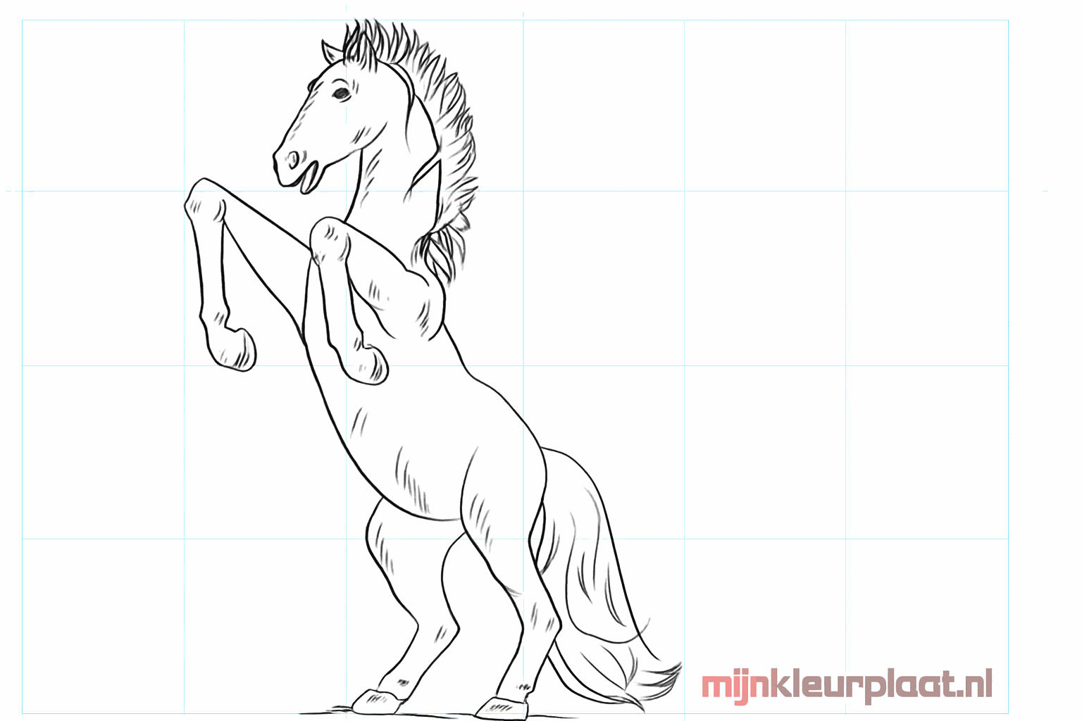 Drawing a tough mustang in 8 steps