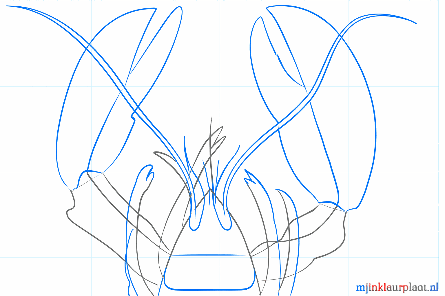 Lobster with thin legs on the side and thicker antennae on the head.