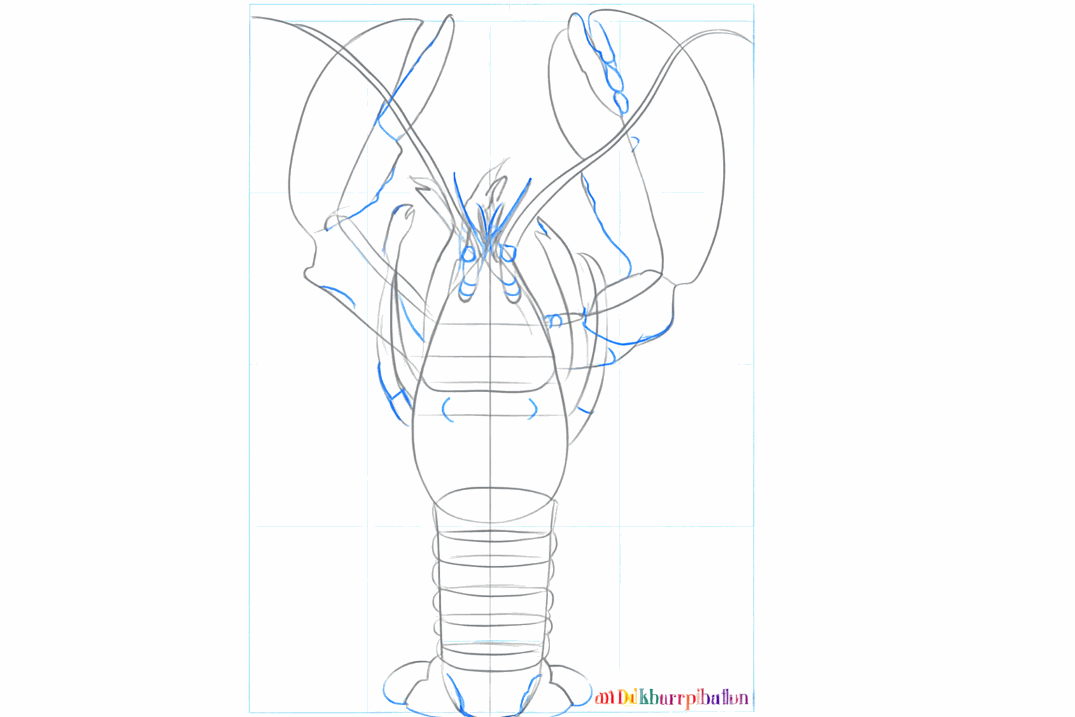 Details such as eyes and small lines on the claws of the drawn lobster.