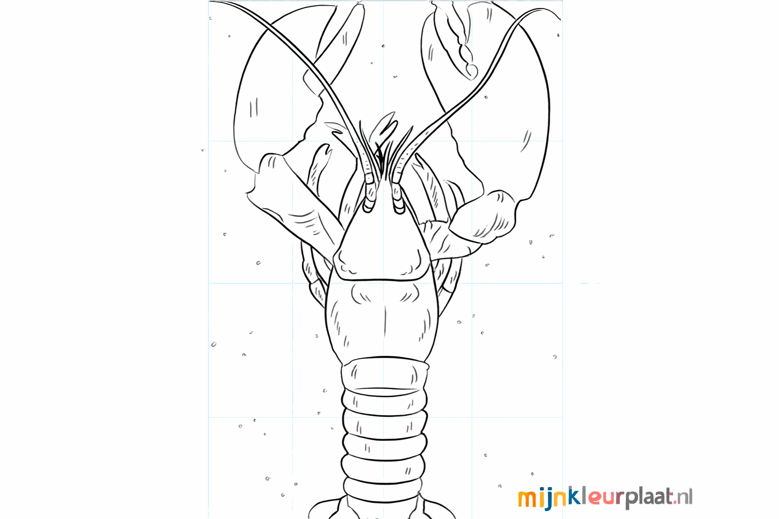 Drawing a happy lobster in 8 simple steps