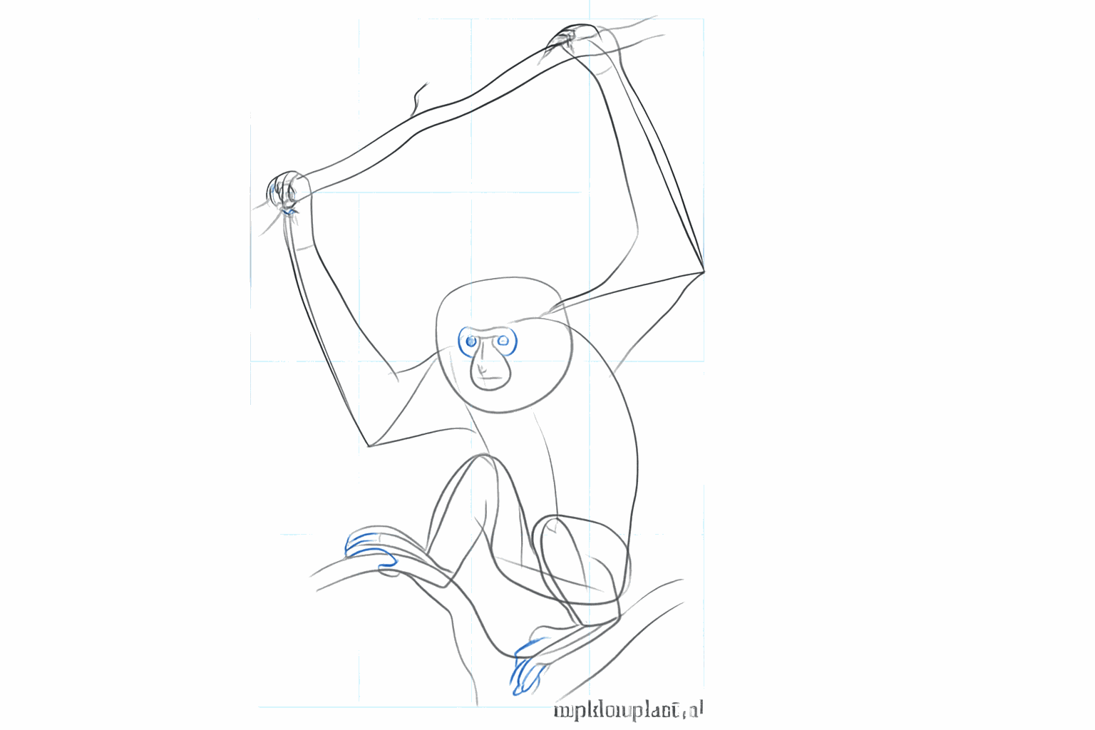 Details of the hands and feet with narrow fingers.