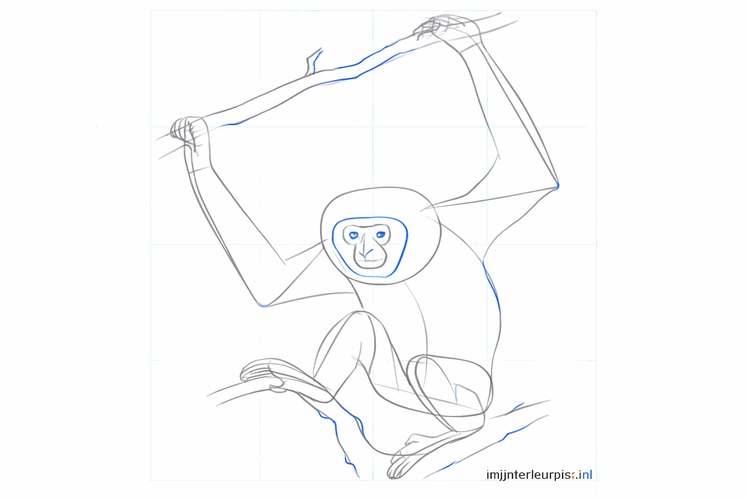 The gibbon's face with eyes and a small nose.