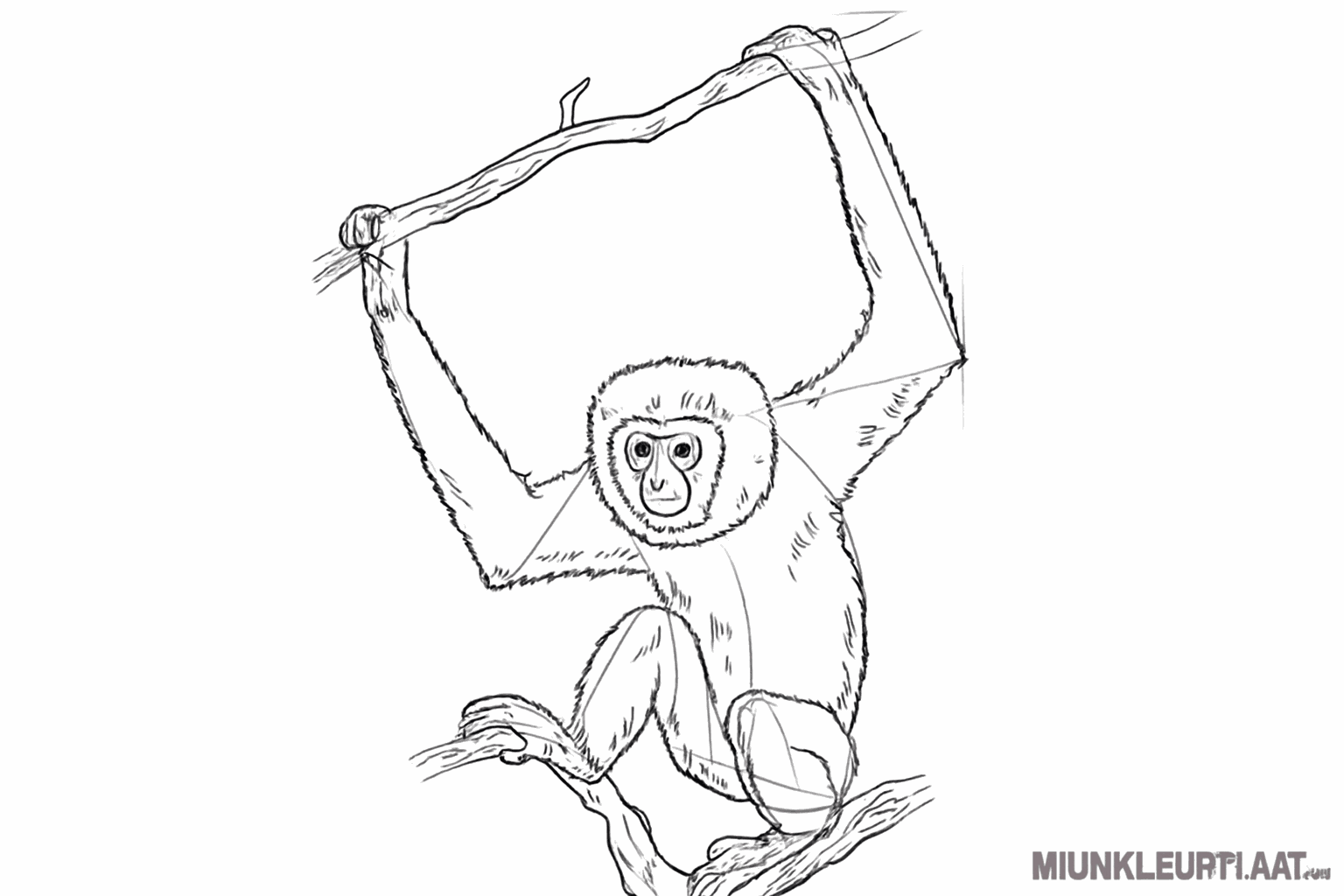 Hairy lines for the fur and more details on the branches.