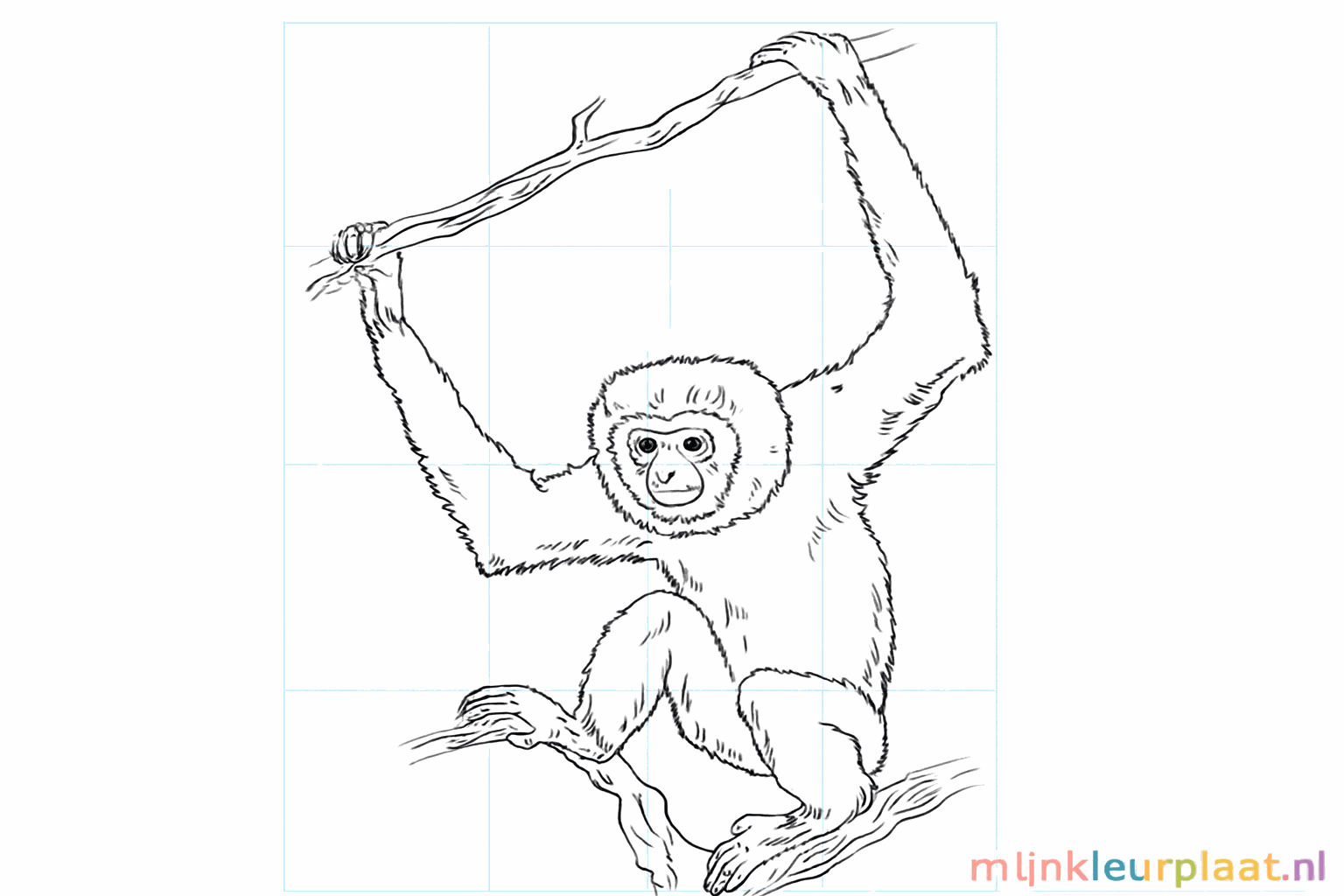 Drawing a happy gibbon in 8 steps