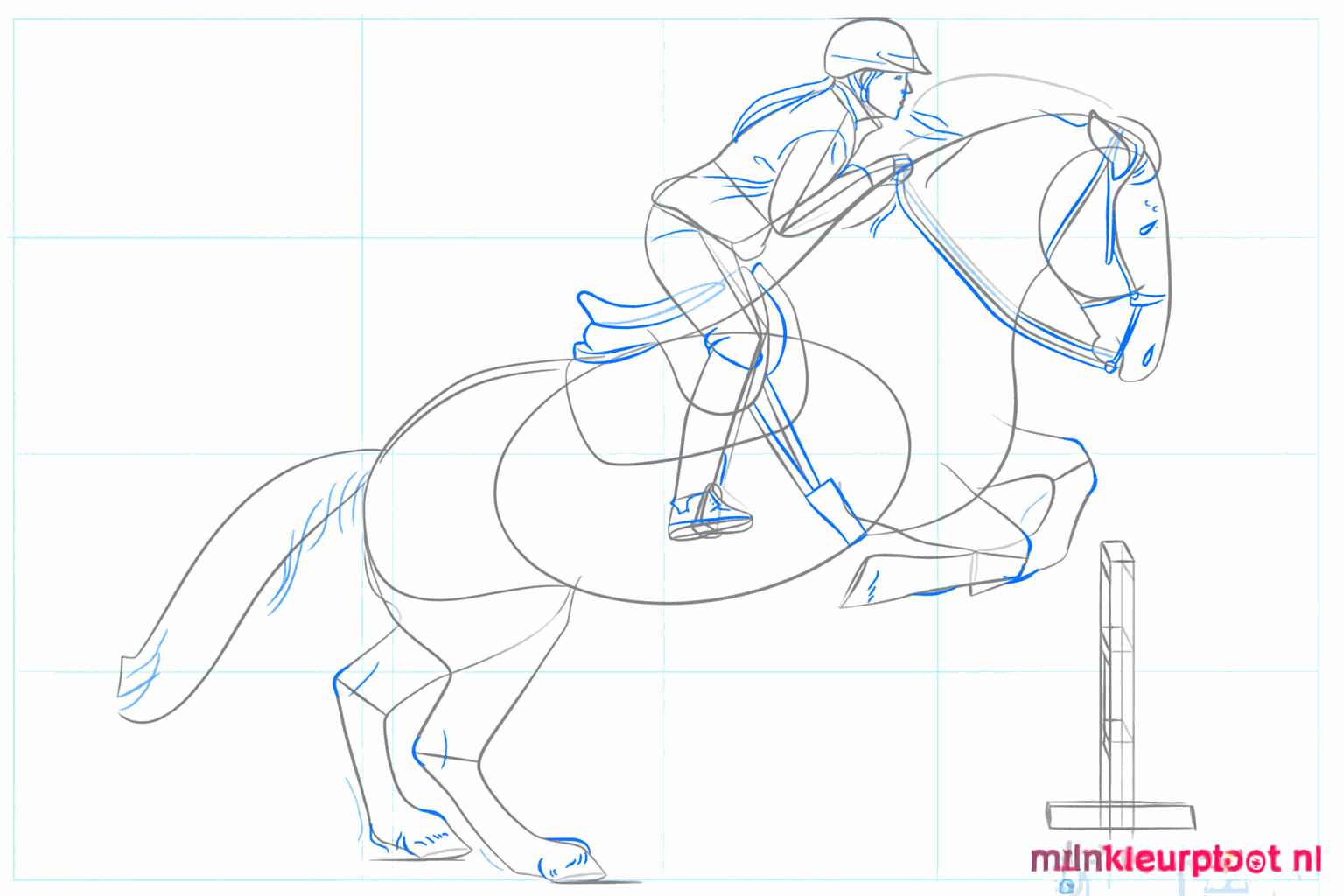 Drawing of the saddle, the tail, and the mane of the horse.