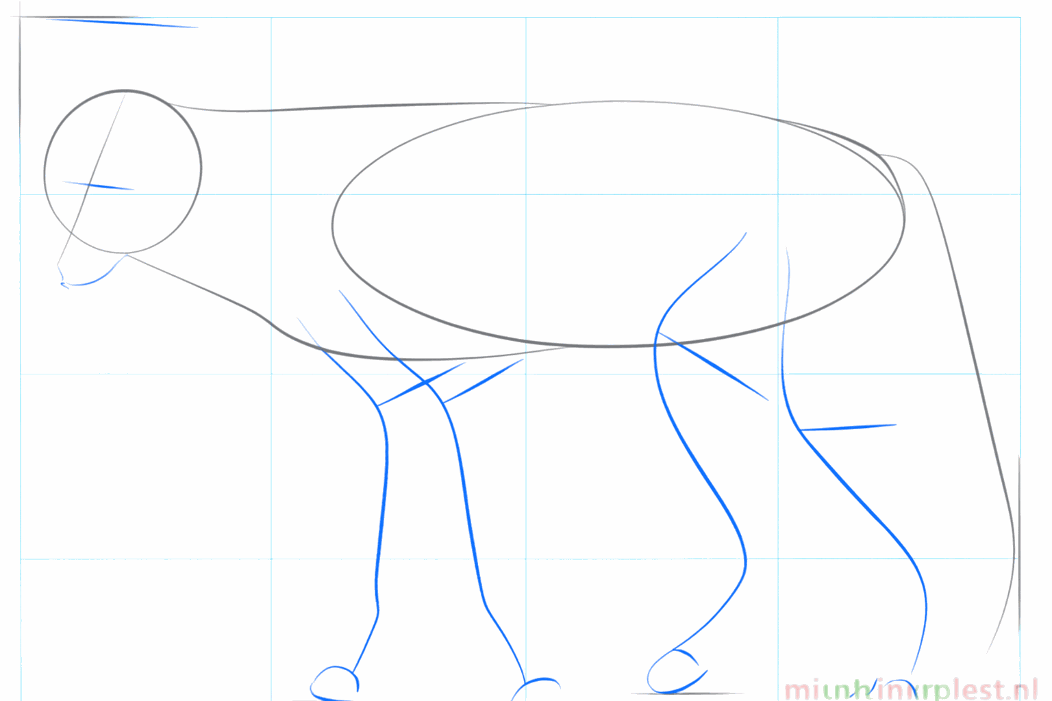 Sketch of the snout and straight lines for the legs of the jackal.
