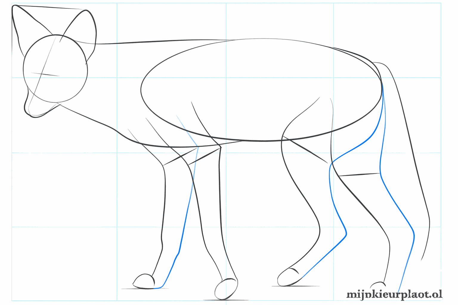 Drawing large pointed ears and thicker legs on the jackal.