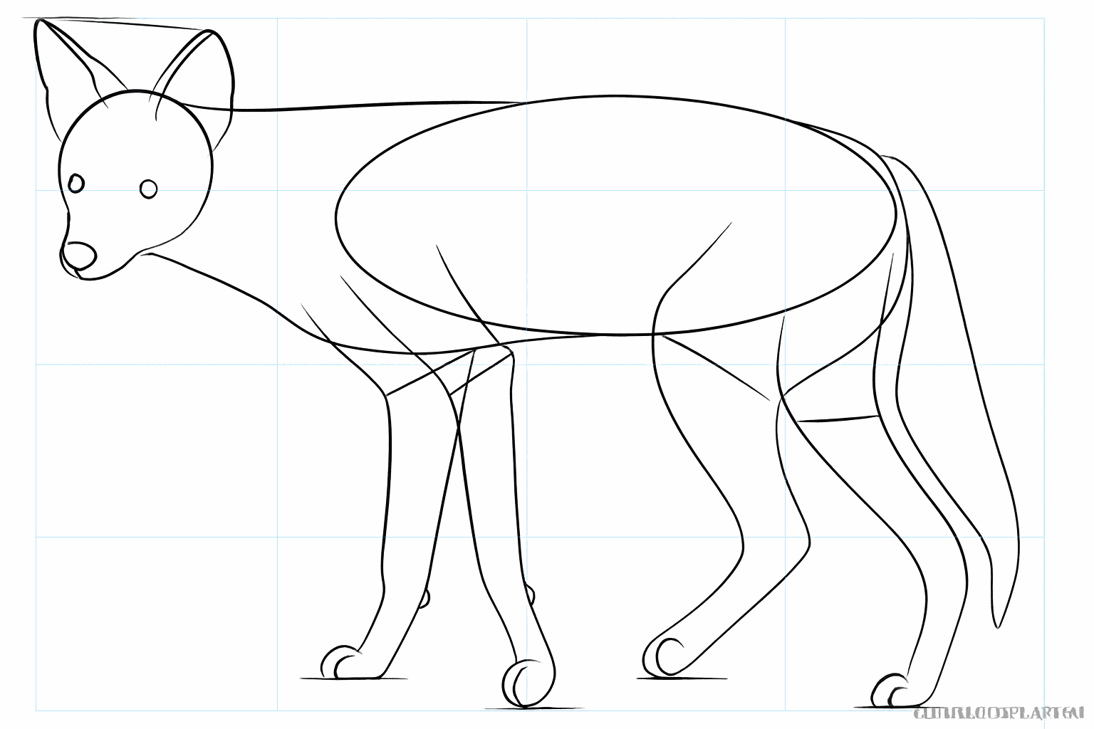 Details of the face and a fluffy tail for the jackal.