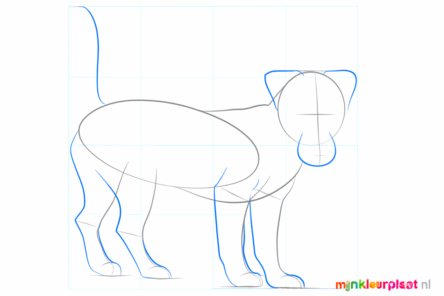 The legs take shape and the dog's snout is drawn.