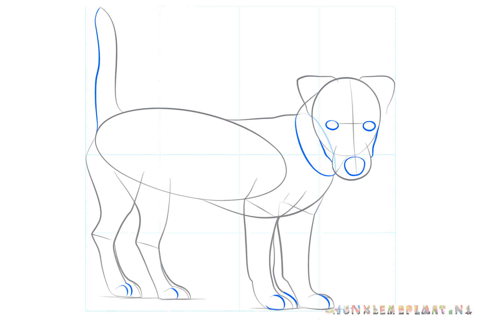 Details of the face and the paws of the Jack Russell terrier.