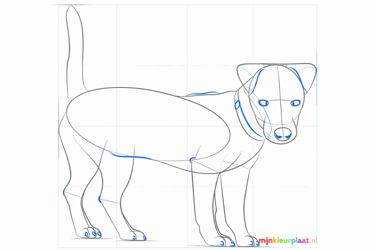 Drawing a collar around the neck and a full tail.