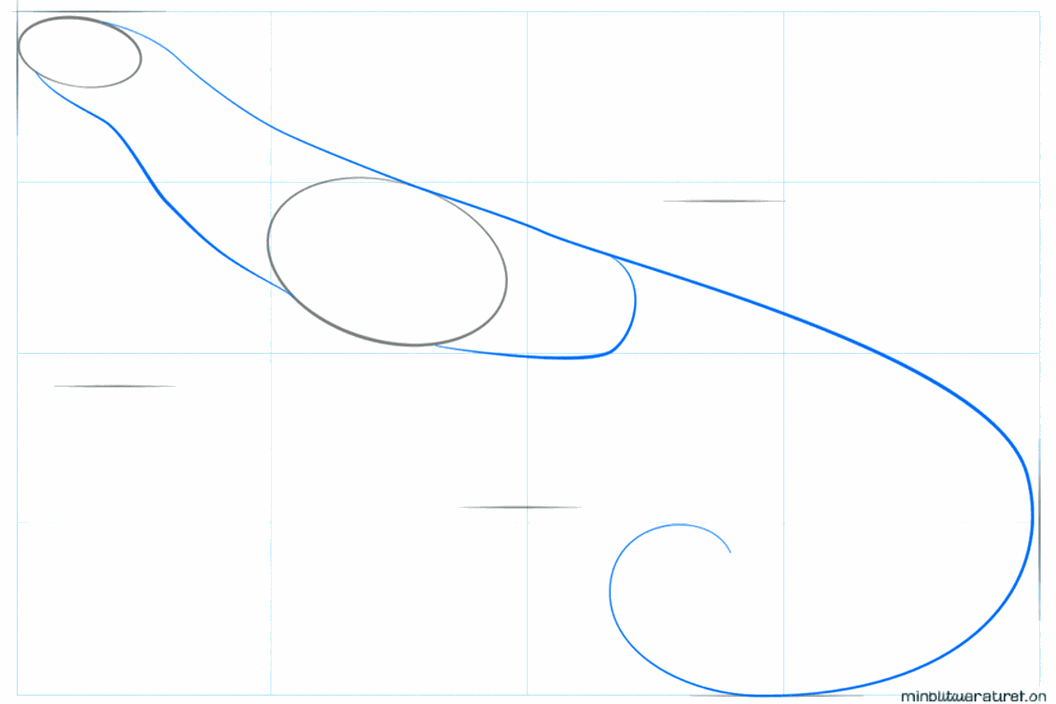 The neck and the long tail line of the iguana are drawn.