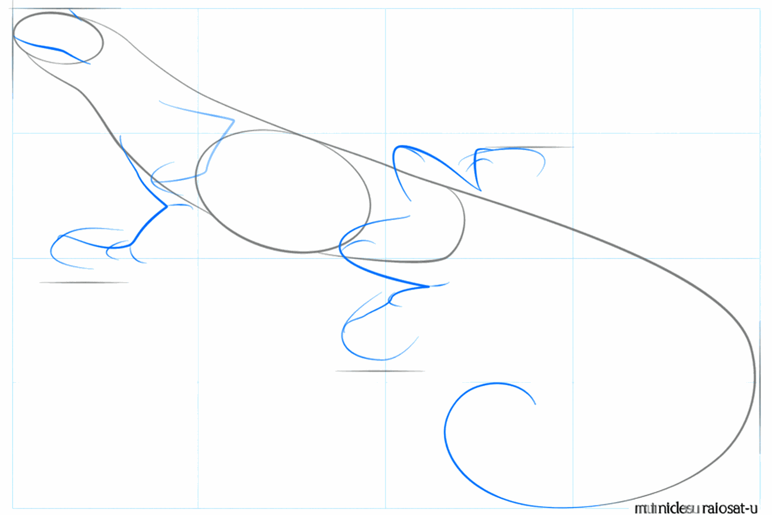 Guide lines for the legs and the face of the iguana.