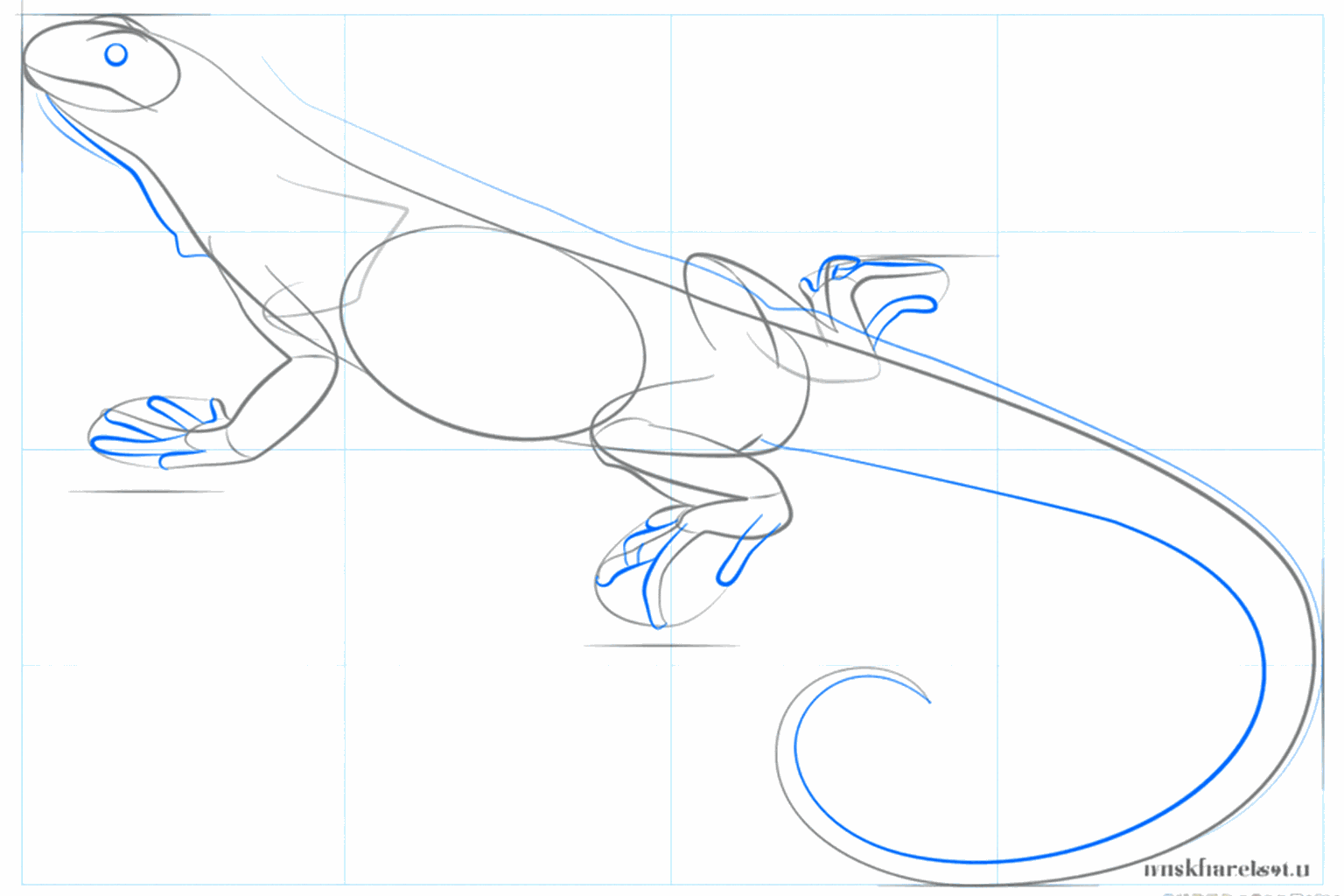 The eye and the thick tail of the iguana take shape.