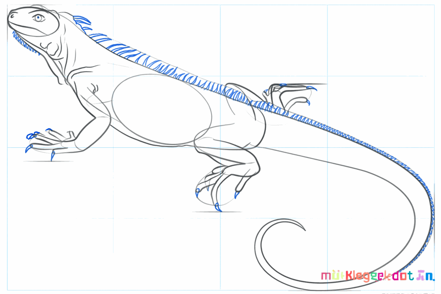 Details of the toes and a guide line for the back spikes.