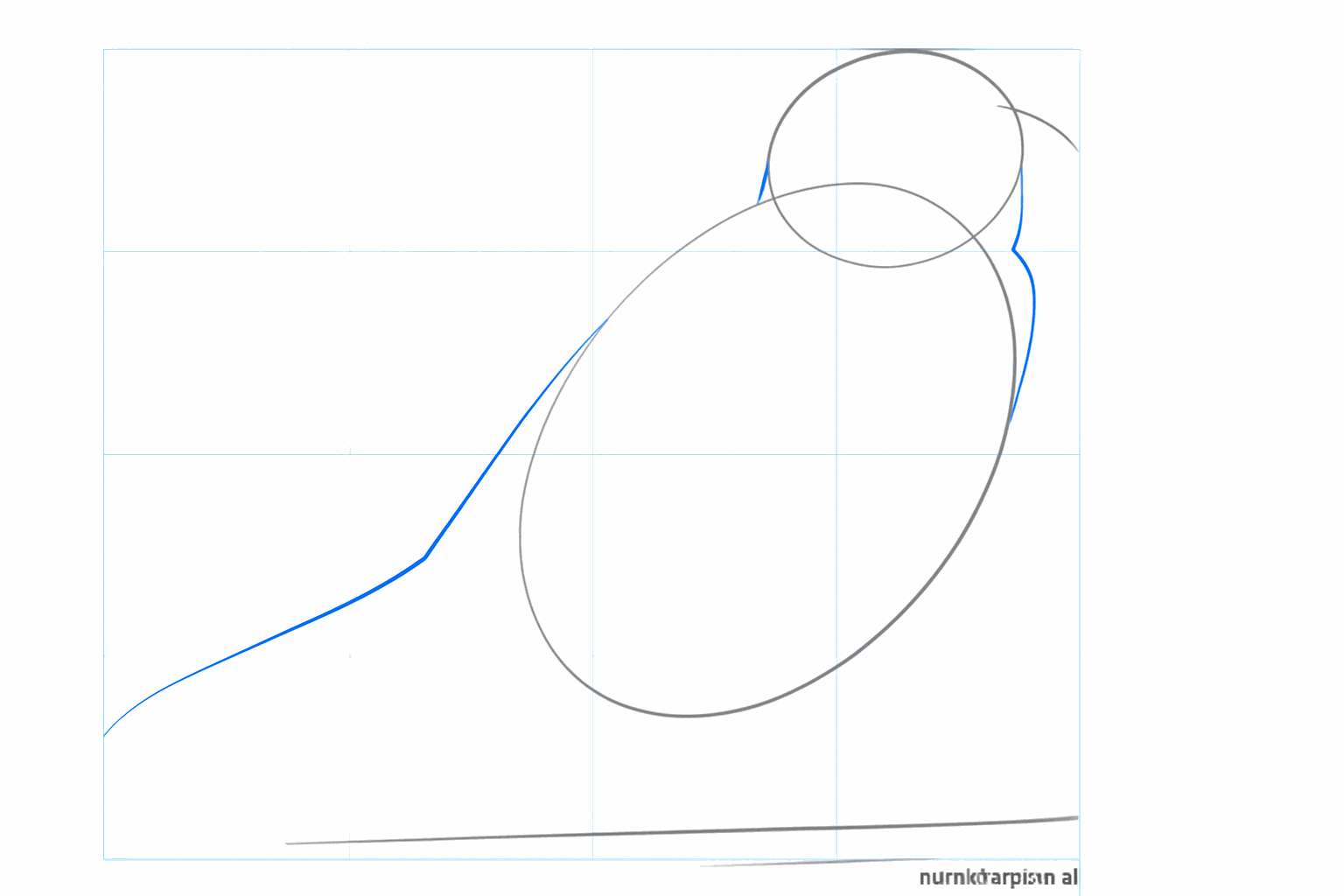 Draw the neck and the tail of the sparrow with simple lines.