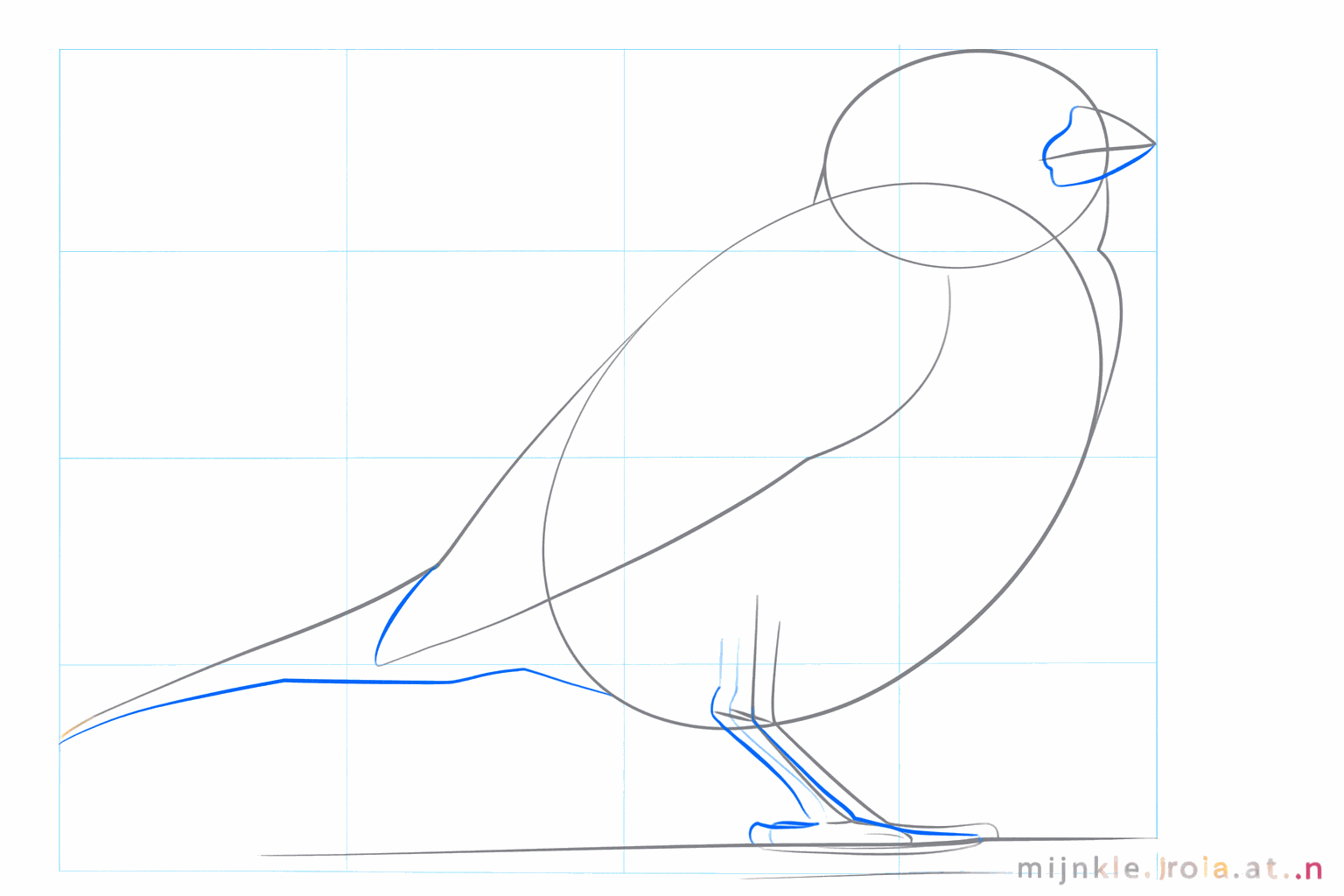 Draw the shape of the beak, the wing, and the legs of the sparrow.
