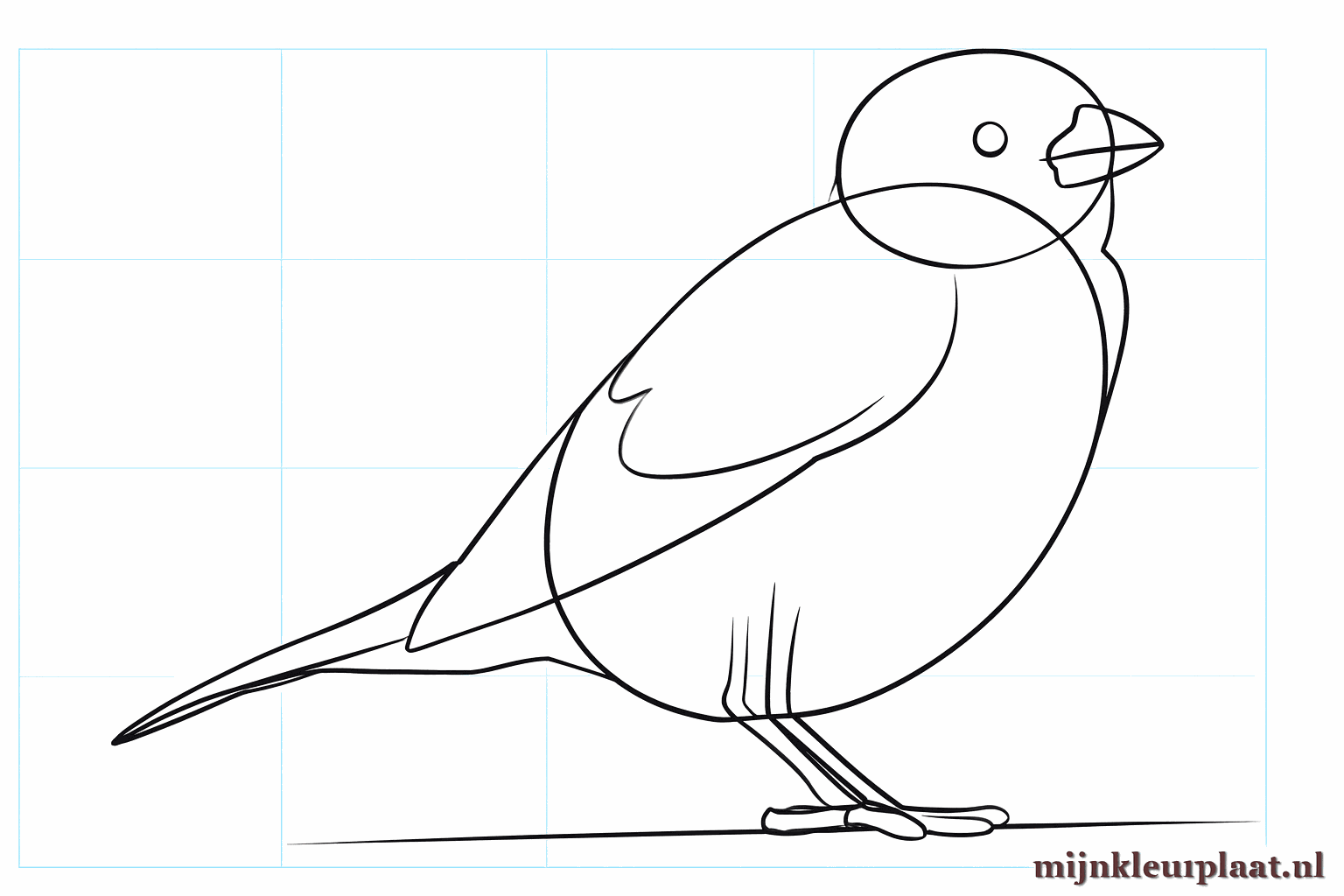 Draw a small eye and tiny toes on the bird's legs.