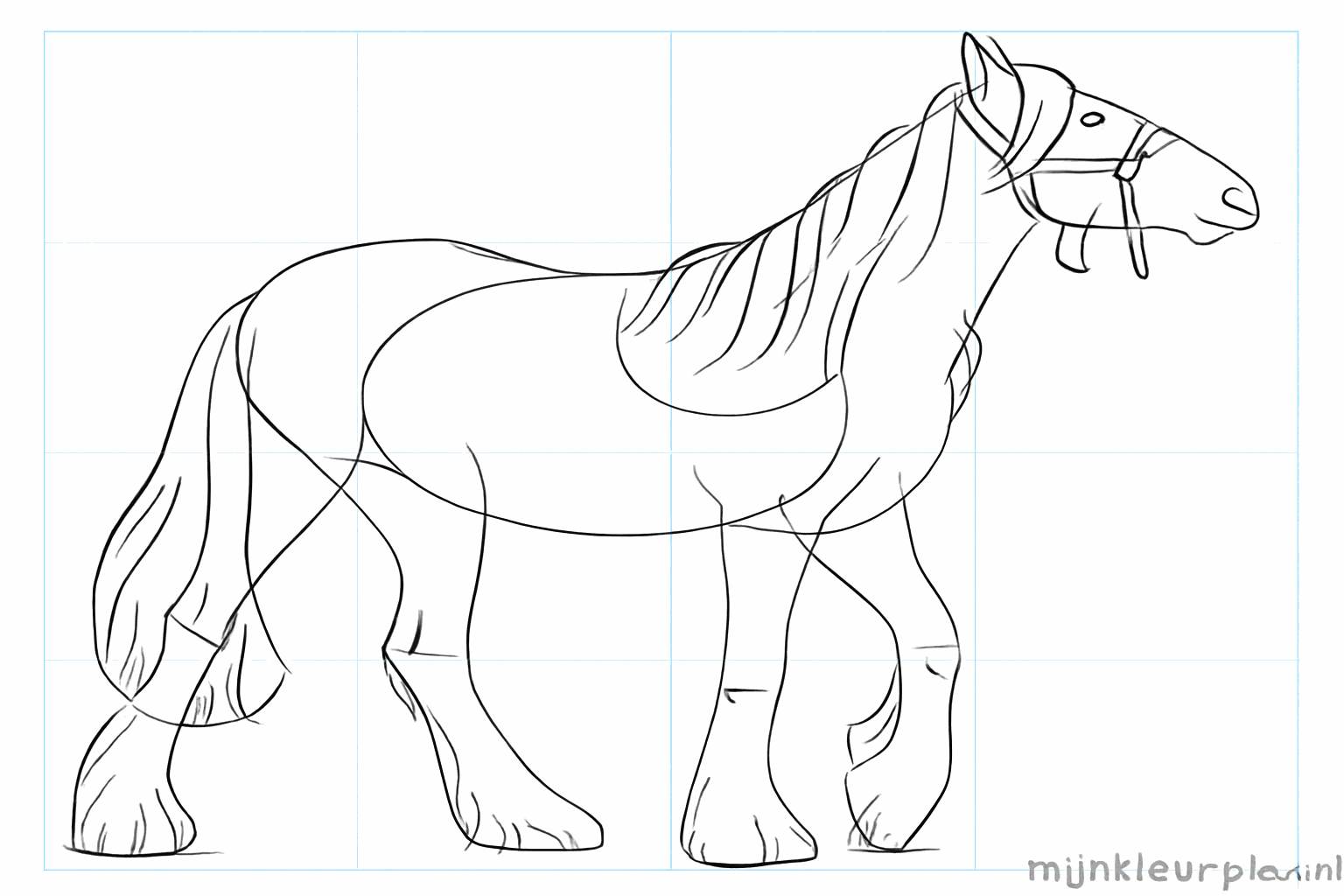 Drawing lesson step 6: Drawing details like the nostril and the halter.