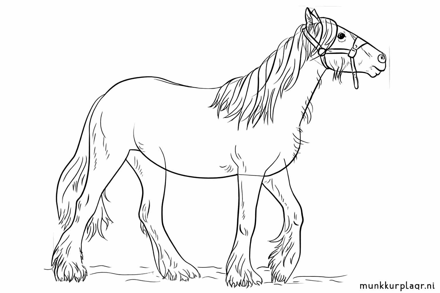 Drawing lesson step 7: Extra hair at the hooves and details on the body.