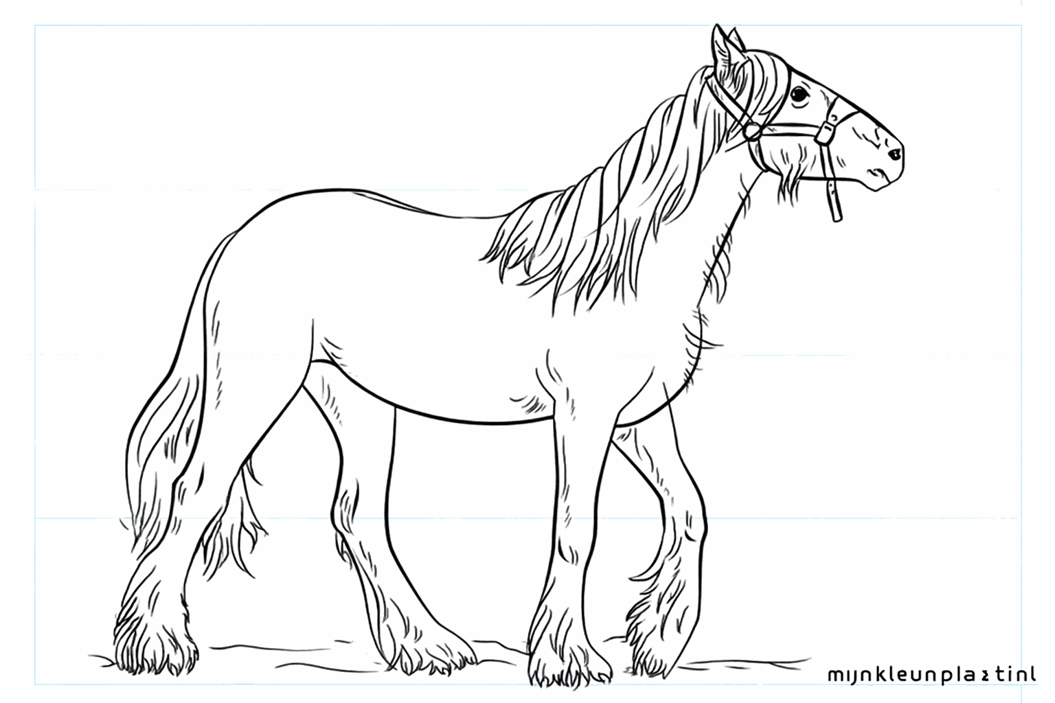 Drawing a beautiful Tinker horse