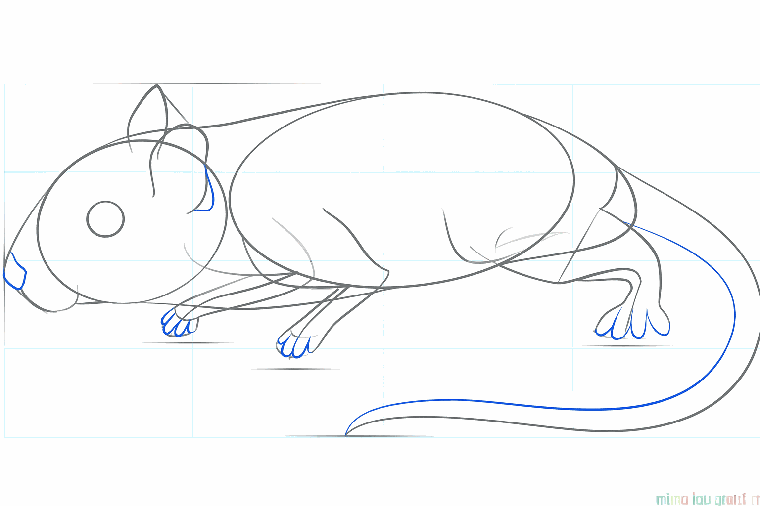Details of the face and a thicker tail for the gerbil.