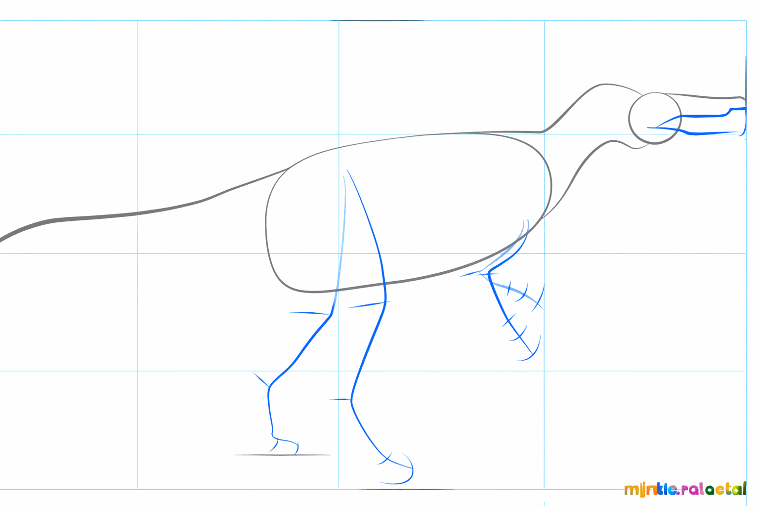 The outline of the neck and tail are drawn thicker around the guide lines.