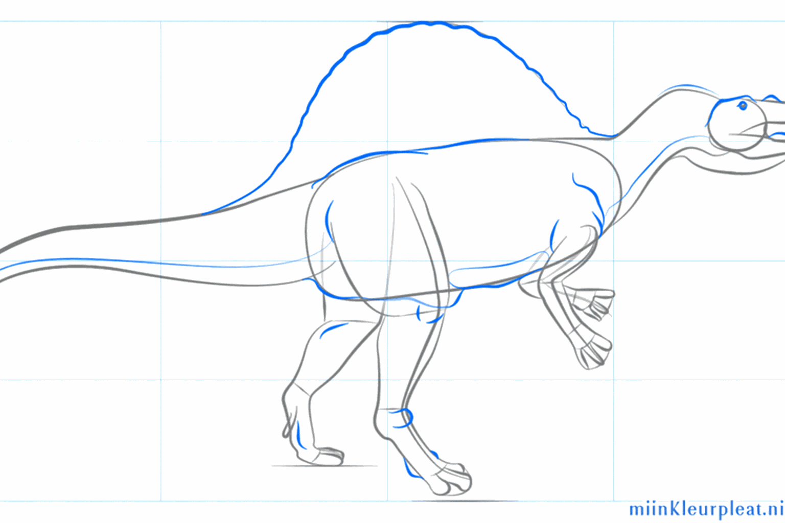 Detail of the head with an eye and feet with three large toes attached.