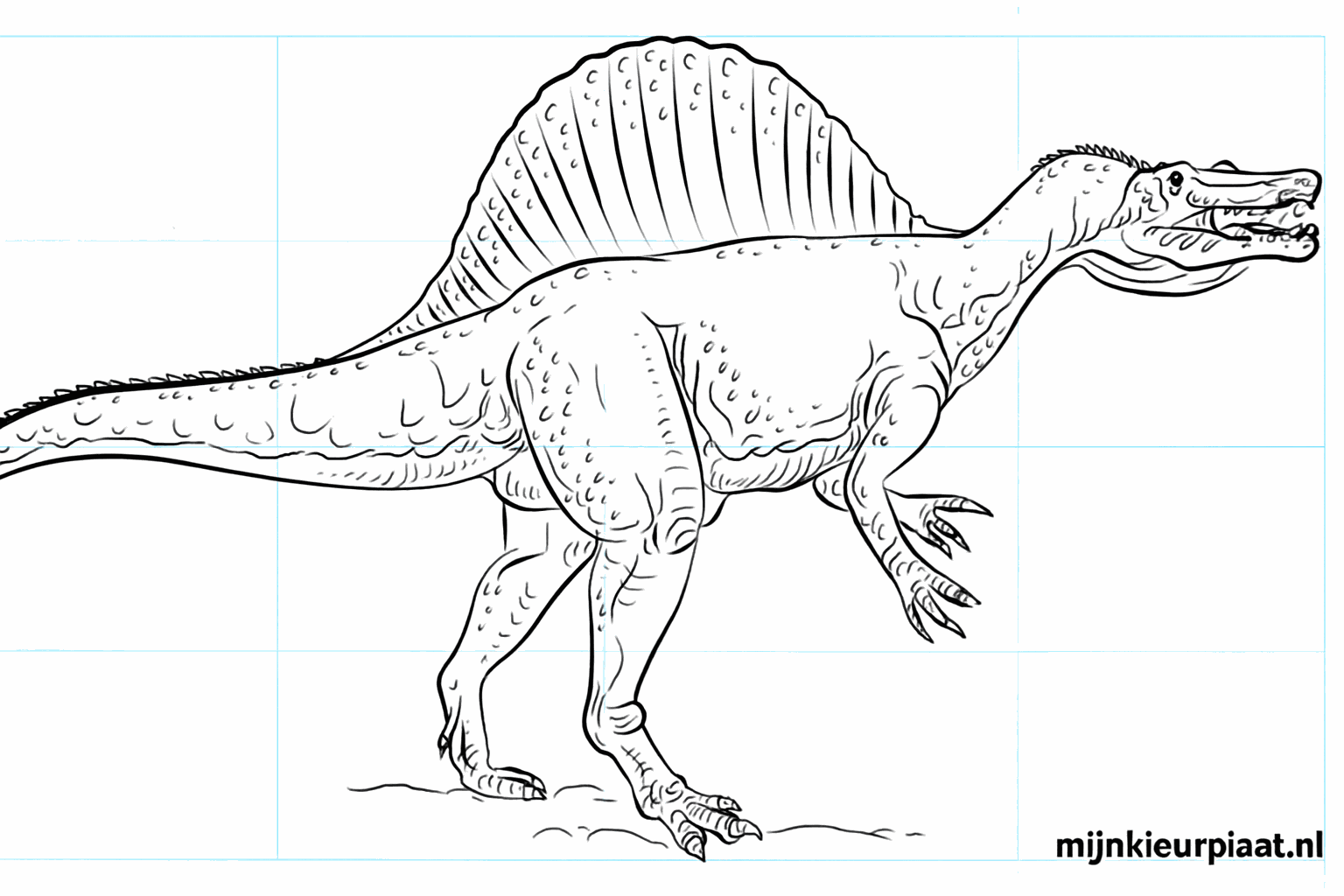 Drawing a Spinosaurus: Learn to create a dino step-by-step