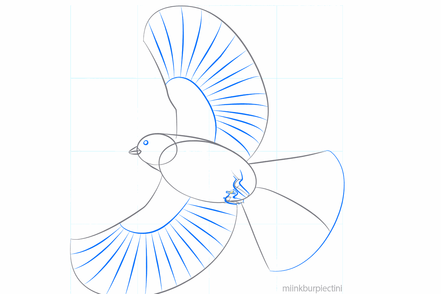 Wide shapes of the flying wings on both sides of the body.