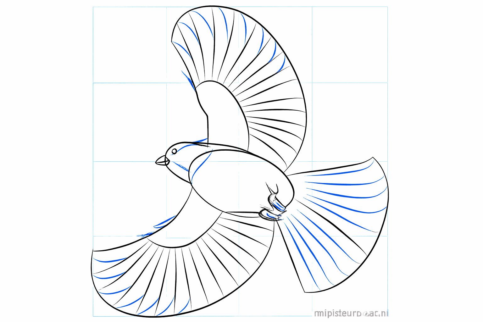 Adding the eye and lines for the tail feathers.
