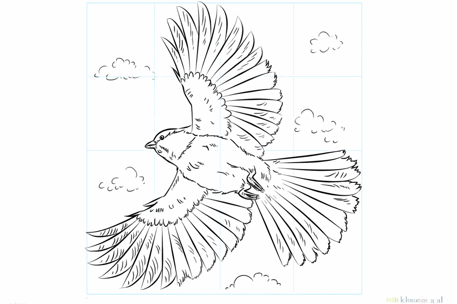 Drawing a flying titmouse