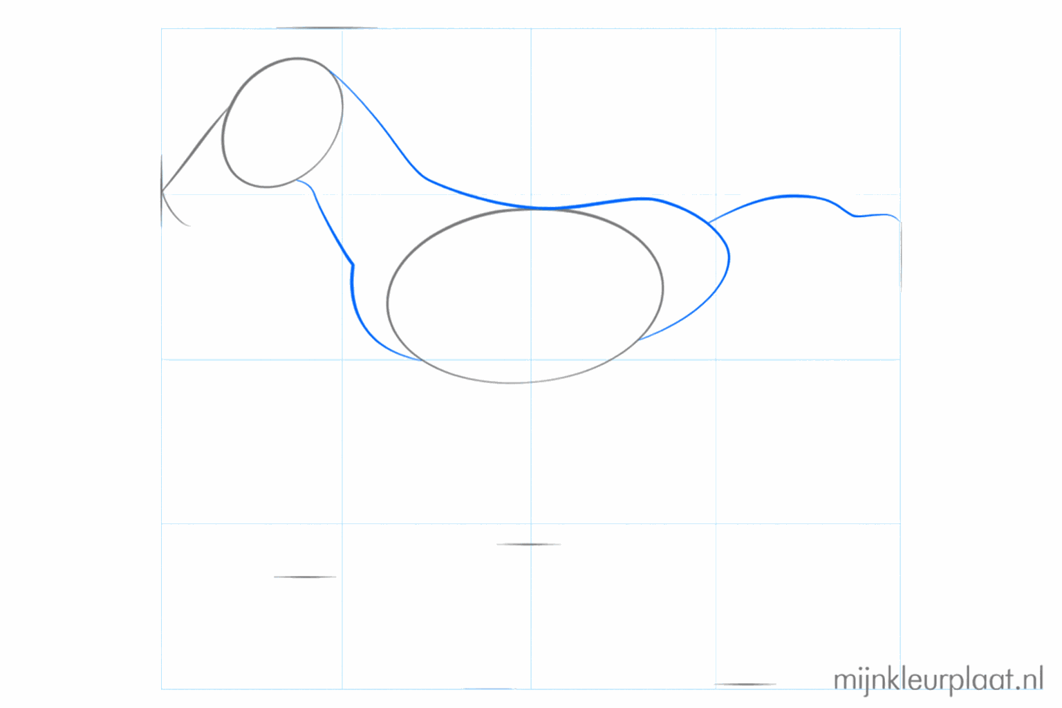 Guide lines for the neck and a curved line for the tail of the little horse.