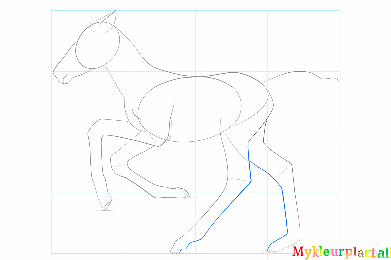 Thicker legs with hooves at the bottom of the foal.