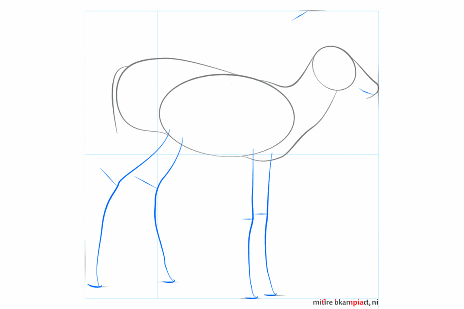 Lines indicating the position of the four legs and the tail of the deer.