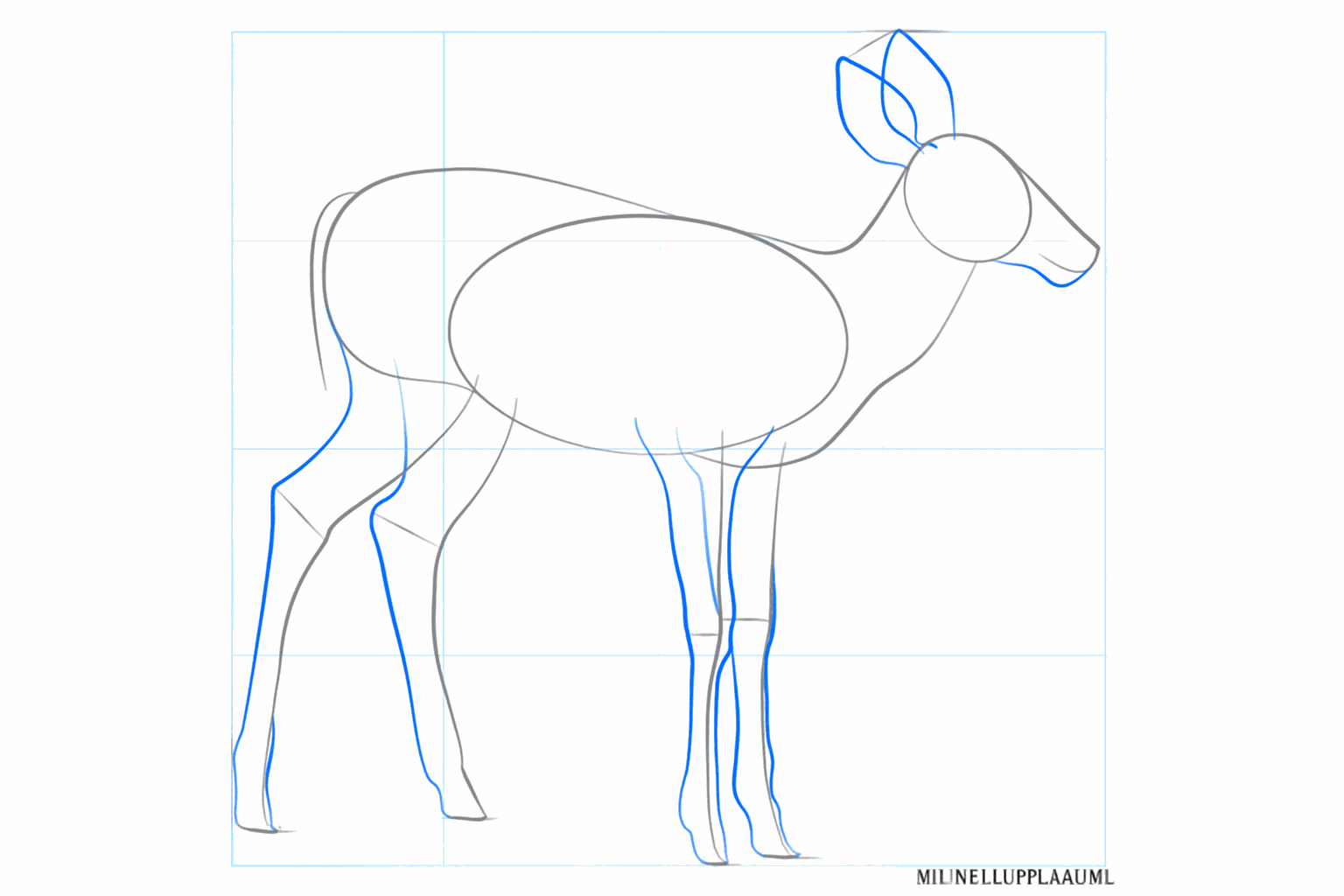 Sketch of the ears and the snout on the head of the deer.