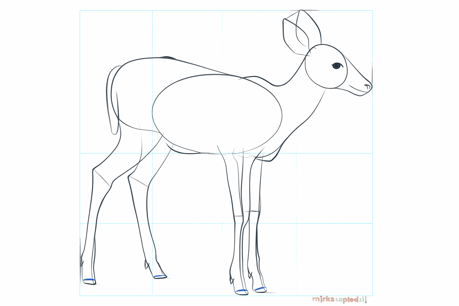 Details of the face with an eye, nose, and lines in the ears.