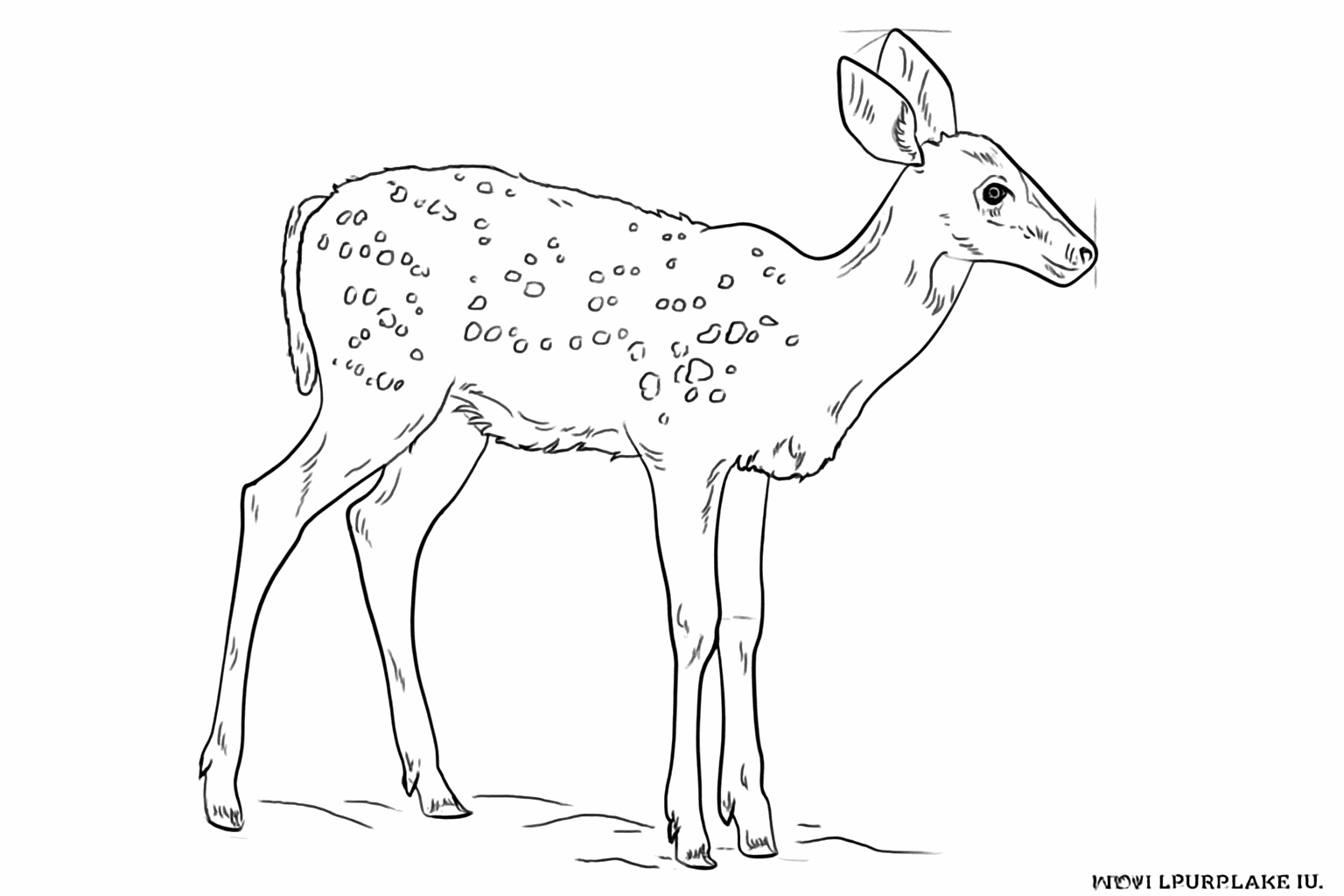 Refining the tail and adding details to the joints of the legs.